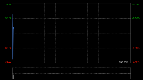 美银证券：降敏实集团目标价至52港元 评级“买入”