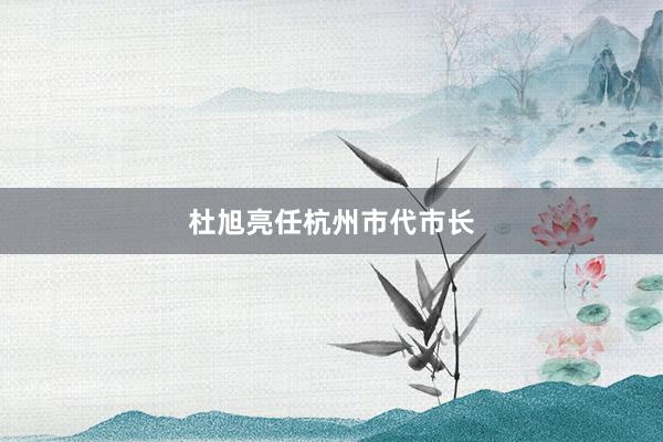 杜旭亮任杭州市代市长