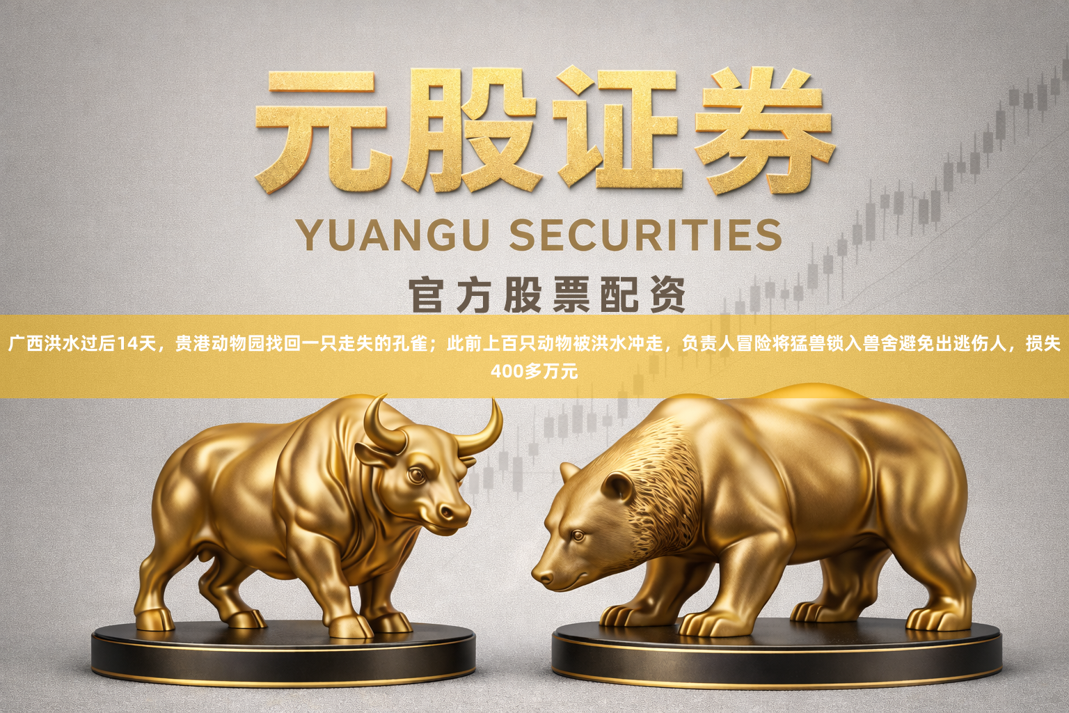 广西洪水过后14天，贵港动物园找回一只走失的孔雀；此前上百只动物被洪水冲走，负责人冒险将猛兽锁入兽舍避免出逃伤人，损失400多万元