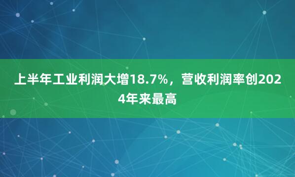 上半年工业利润大增18.7%，营收利润率创2024年来最高
