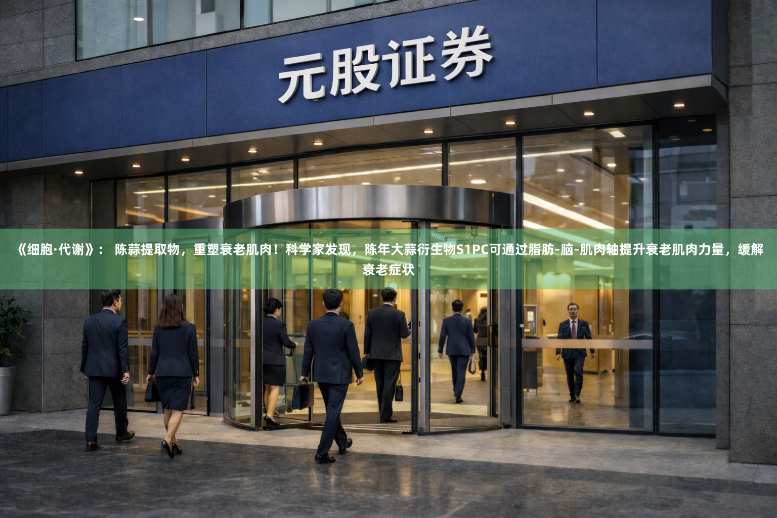 《细胞·代谢》： 陈蒜提取物，重塑衰老肌肉！科学家发现，陈年大蒜衍生物S1PC可通过脂肪-脑-肌肉轴提升衰老肌肉力量，缓解衰老症状