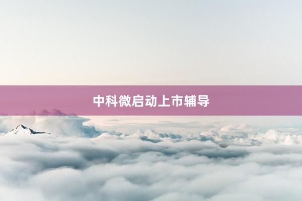 中科微启动上市辅导
