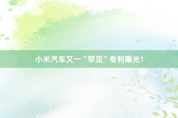 小米汽车又一“罕见”专利曝光！