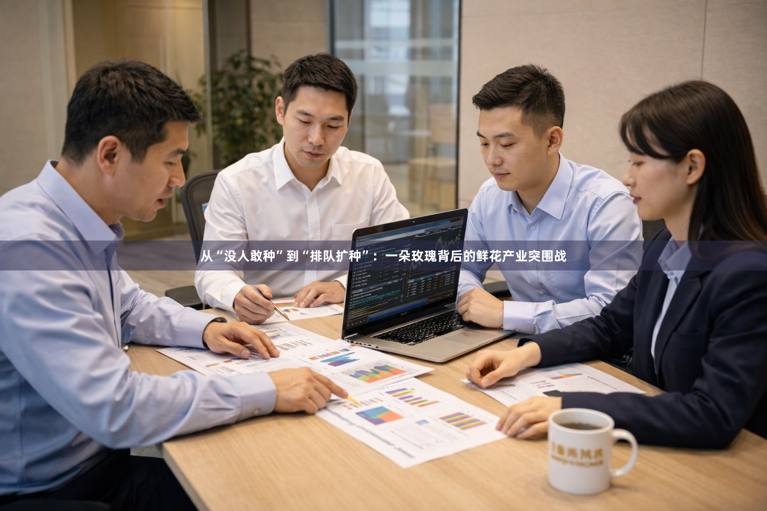 从“没人敢种”到“排队扩种”：一朵玫瑰背后的鲜花产业突围战