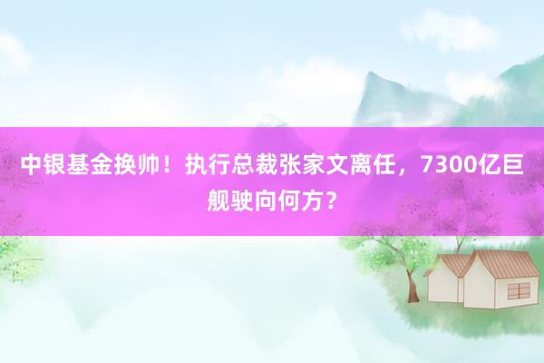 中银基金换帅！执行总裁张家文离任，7300亿巨舰驶向何方？