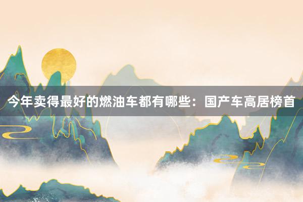 今年卖得最好的燃油车都有哪些：国产车高居榜首