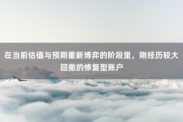 在当前估值与预期重新博弈的阶段里，刚经历较大回撤的修复型账户
