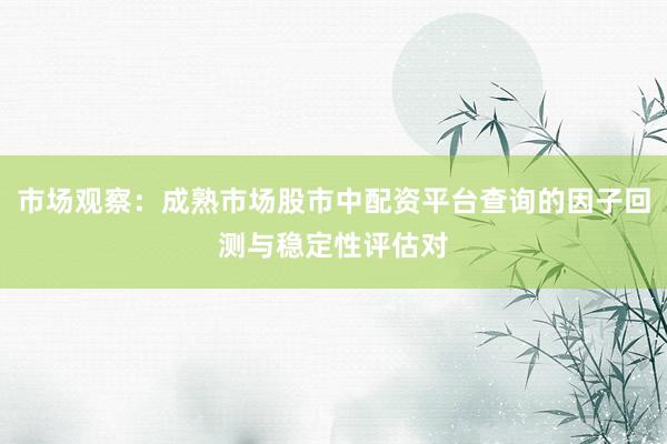 市场观察：成熟市场股市中配资平台查询的因子回测与稳定性评估对