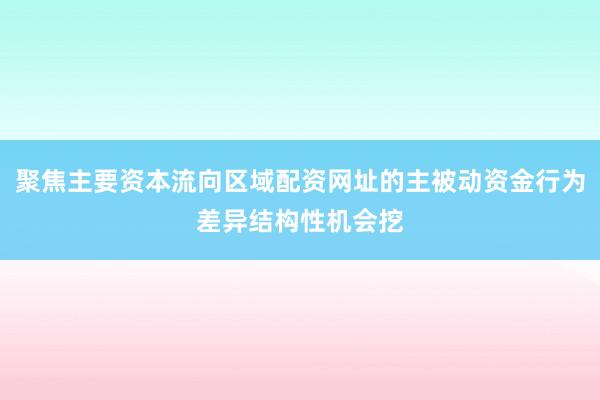 聚焦主要资本流向区域配资网址的主被动资金行为差异结构性机会挖