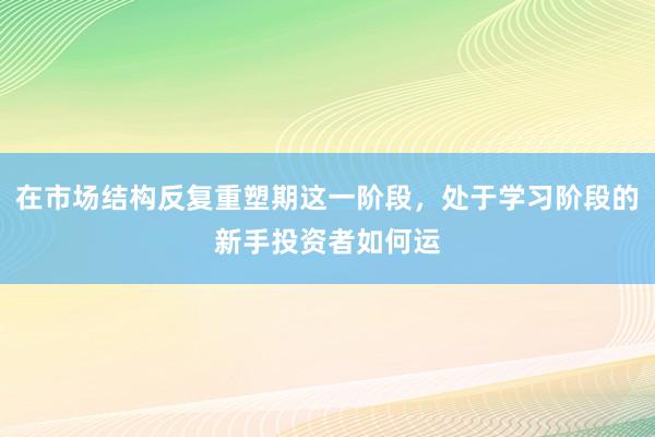 在市场结构反复重塑期这一阶段，处于学习阶段的新手投资者如何运