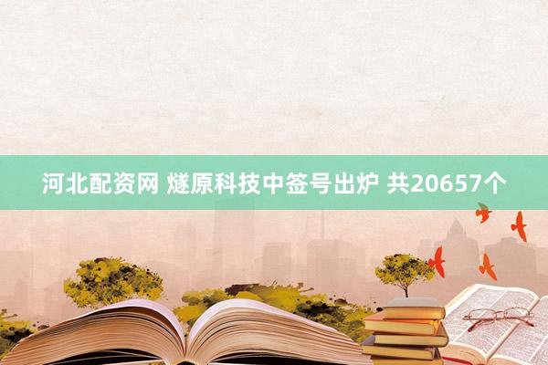 河北配资网 燧原科技中签号出炉 共20657个