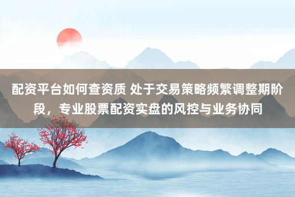 配资平台如何查资质 处于交易策略频繁调整期阶段，专业股票配资实盘的风控与业务协同