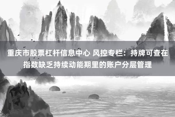 重庆市股票杠杆信息中心 风控专栏：持牌可查在指数缺乏持续动能期里的账户分层管理