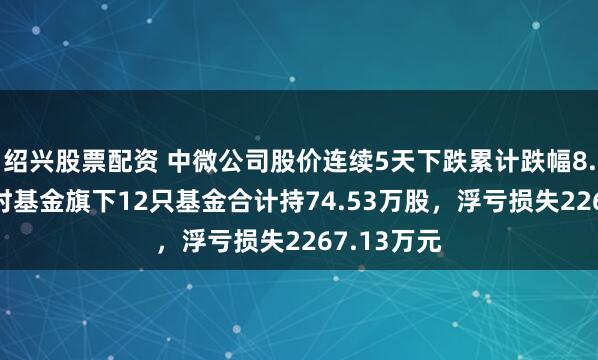 绍兴股票配资 中微公司股价连续5天下跌累计跌幅8.57%，博时基金旗下12只基金合计持74.53万股，浮亏损失2267.13万元