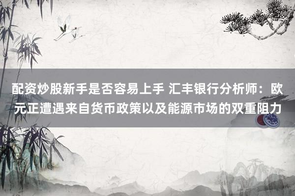 配资炒股新手是否容易上手 汇丰银行分析师：欧元正遭遇来自货币政策以及能源市场的双重阻力