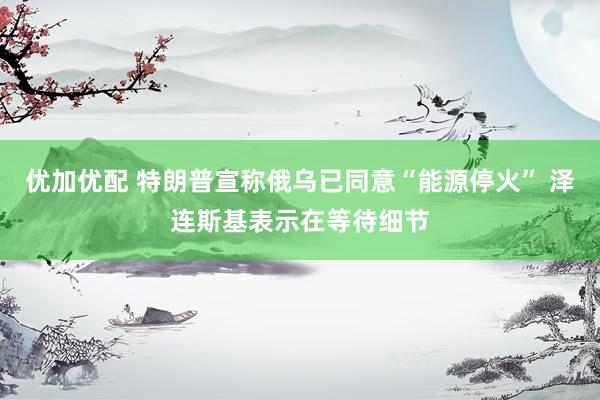 优加优配 特朗普宣称俄乌已同意“能源停火” 泽连斯基表示在等待细节