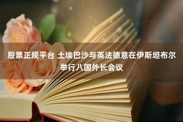 股票正规平台 土埃巴沙与英法德意在伊斯坦布尔举行八国外长会议