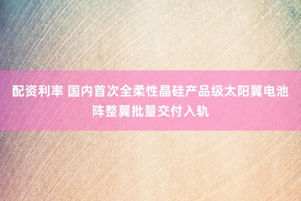 配资利率 国内首次全柔性晶硅产品级太阳翼电池阵整翼批量交付入轨